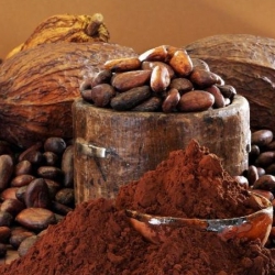 Comanda online unt de cacao organic